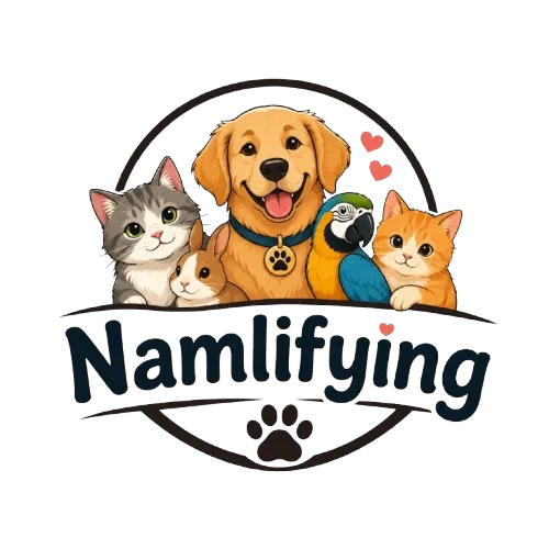 namlifying.com